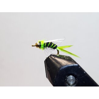 Nymph Fly Electric Prince Bead Head Hook #12