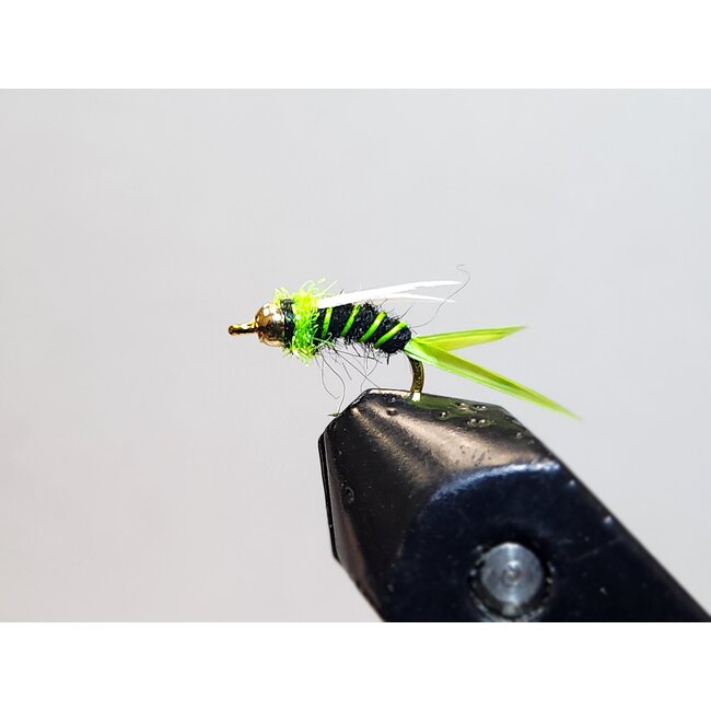 Mouche Nymphe Electric Prince Bead Head Hameçon #12