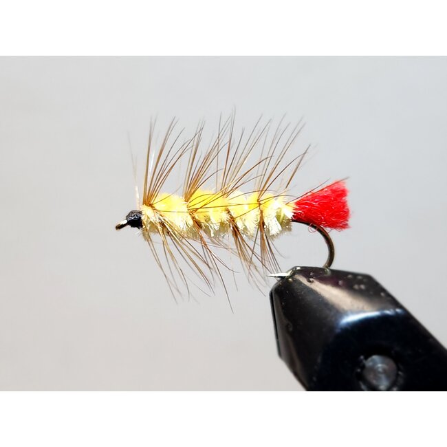 Mouche Wolly Worm Cream Hameçon #10