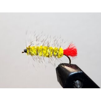 Wolly Worm Fly Olive Hook # 8
