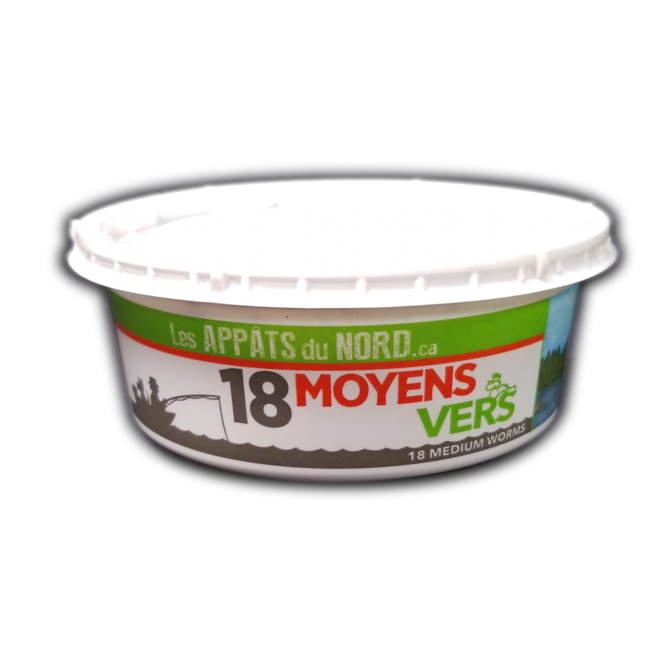 18 Medium-Sized Earthworms