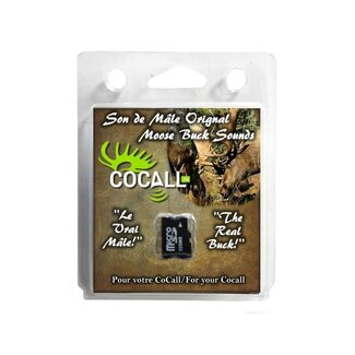 Cocall Carte De Son Cocall 2 Orignal