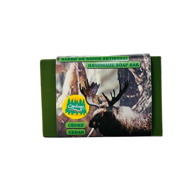 Citrobug Cedar Scented Soap 100G