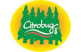 CITROBUG