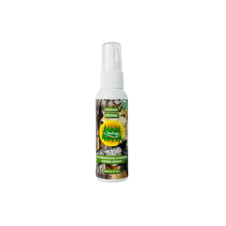 CITROBUG Éliminateur D'Odeur Citrobug Cèdre 60Ml