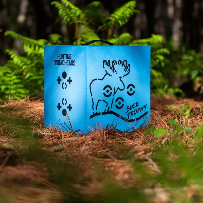 Cible Cube Zone T3 Buck Trophy Bleu