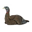 AVIAN-X Avian-X LCD Laydown Hen Decoy