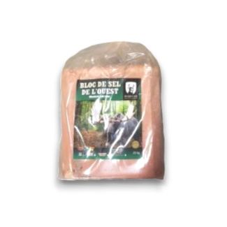 BUCK HUNTER Buck Hunter Western Anise Flavored Salt Block 20kg