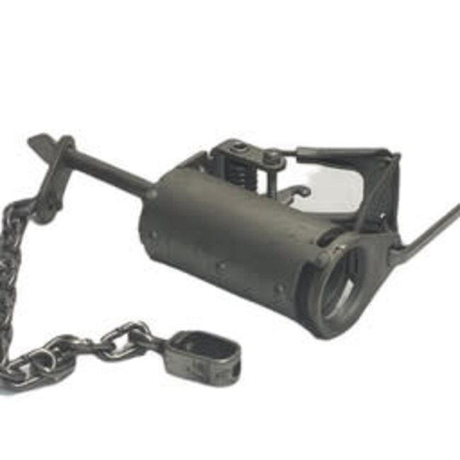 Bridger Raccoon Lill Grizz Trap