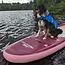 Pronature Dog Flotation Vest Blue