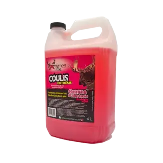 LES PRODUITS EXTRÊMES C.G Coulis Extême Gomme Balloune 4L
