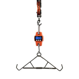 ALLEN Allen Digital Game Scale