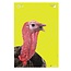 ALLEN Allen Ez-Aim Non-Adhesive Splash Turkey Paper Targets 8/Pkg
