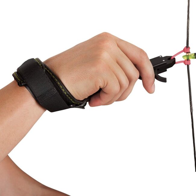 Déclencheur Allen Pulse