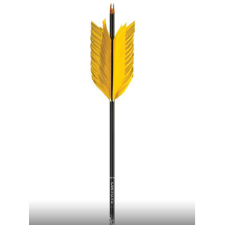 CARBON EXPRESS Flèche d'Arc Carbon Express Flu Flu 31''