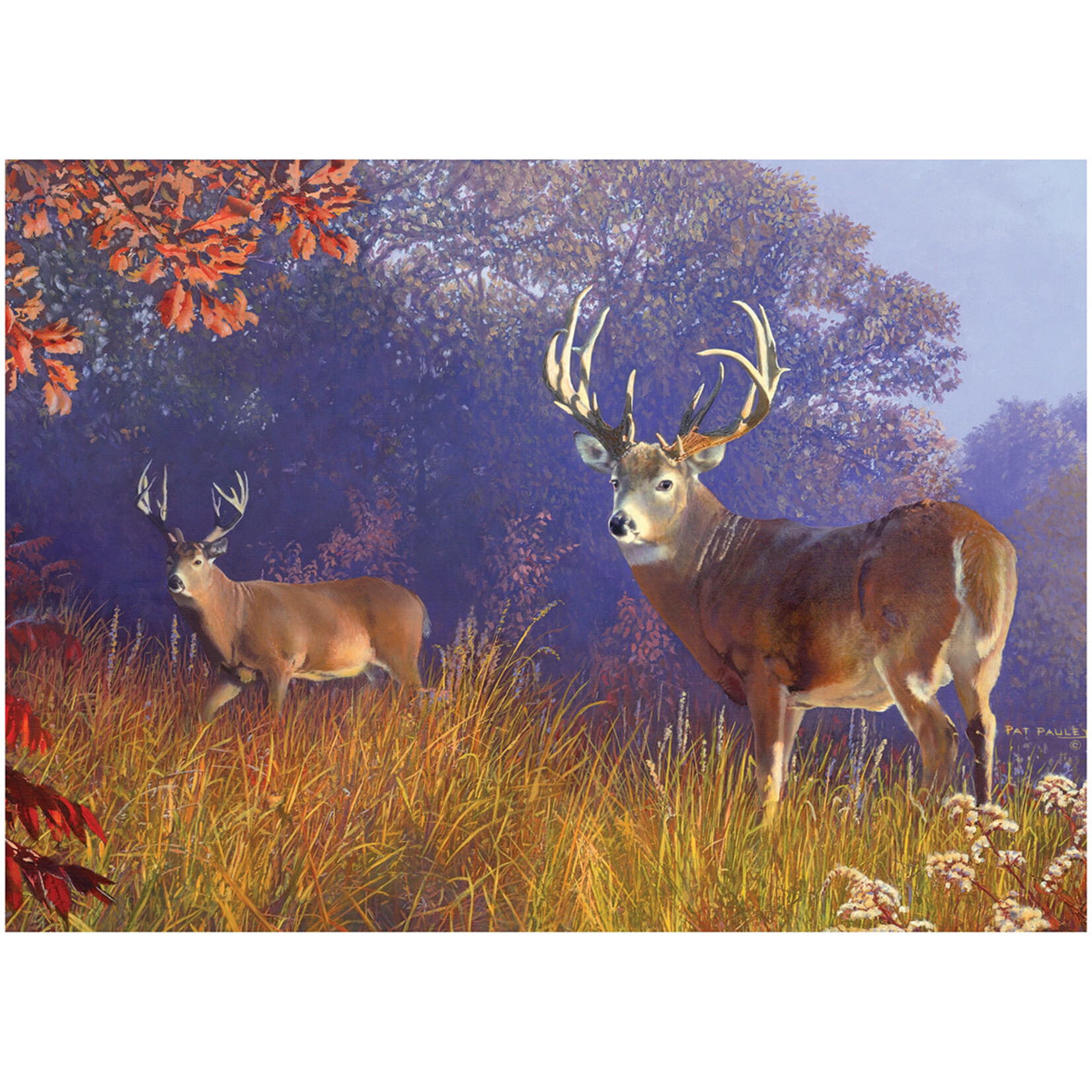 RIVER'S EDGE PRODUCTS Casse-Tête Rivers Edge  1000 Morceaux Deer Scene