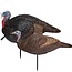Primos Lil Gobbstoper Combo Jake and Hen Decoys