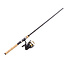 DAIWA Ensemble Lancer Léger Daiwa D-Shock 6'6" Medium