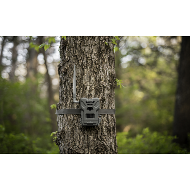 Spypoint Cellular Trail Camera Flex M
