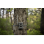 Spypoint Cellular Trail Camera Flex M