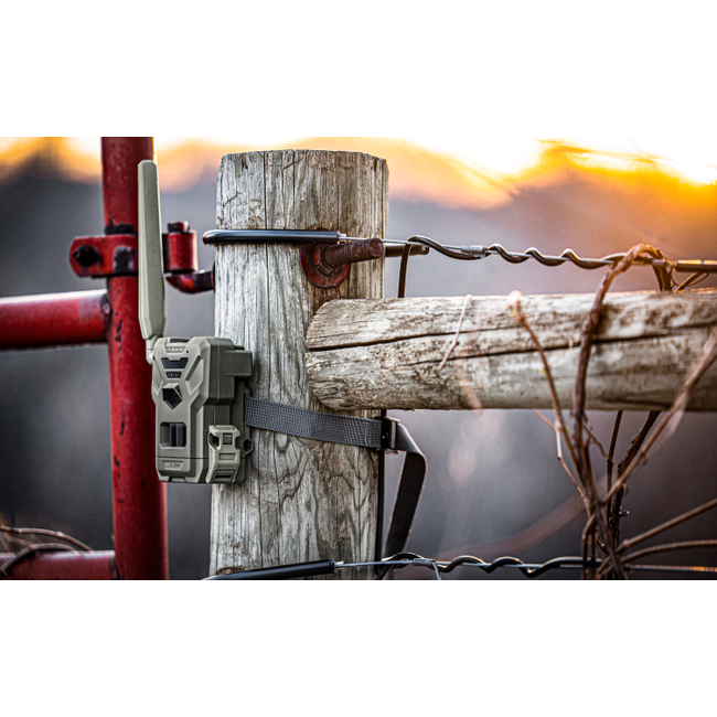 Caméra Cellulaire Spypoint Flex M