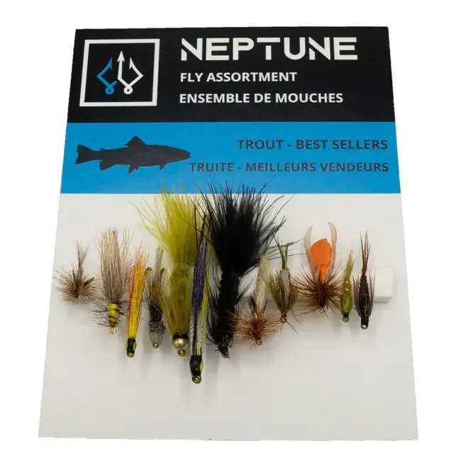 Ensemble De Mouche à Truite Neptune Meilleur Vendeur  12/Pqts