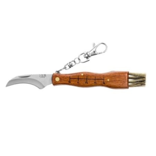 Couteau à Champignon Joker JKR31 avec Lame Pliante et Brosse