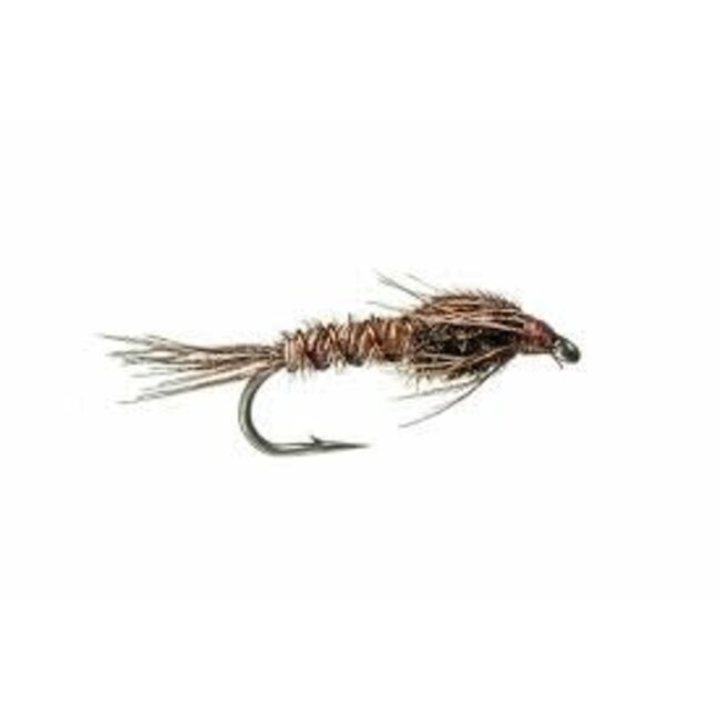 Mouche Etic Nymphe Pheasant Tail Hameçon # 10