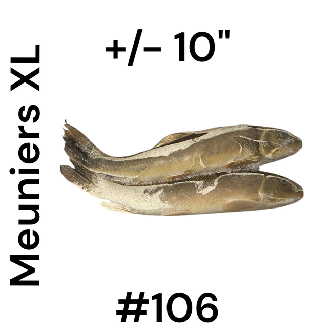 Menés Meuniers XL (pqt 2)
