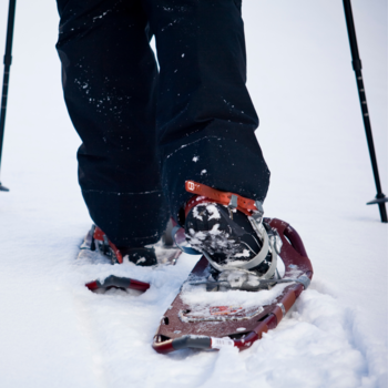 Raquettes à neige et Bâtons de Marche