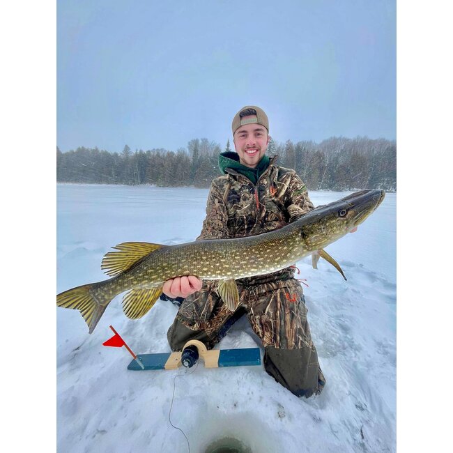 Brimbale FishXtrem Modèle à plat