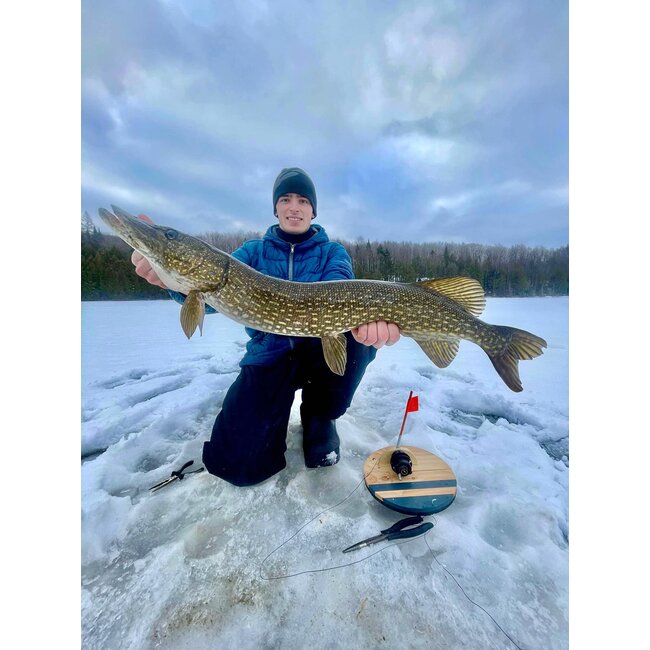 FishXtrem Thermal Model Tip-Up