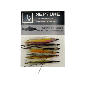 NEPTUNE Ensemble De 6 Mouches De Traîne Neptune Pour Truite
