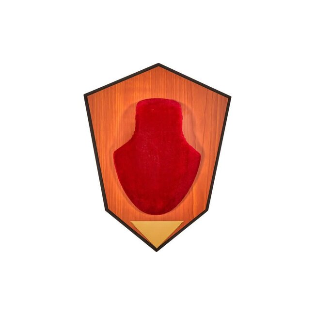 Allen Antler Mounting Kit