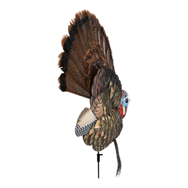 Avian-X Trophy Tom Decoy