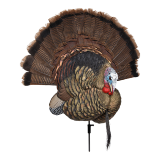 AVIAN-X Avian-X Trophy Tom Decoy