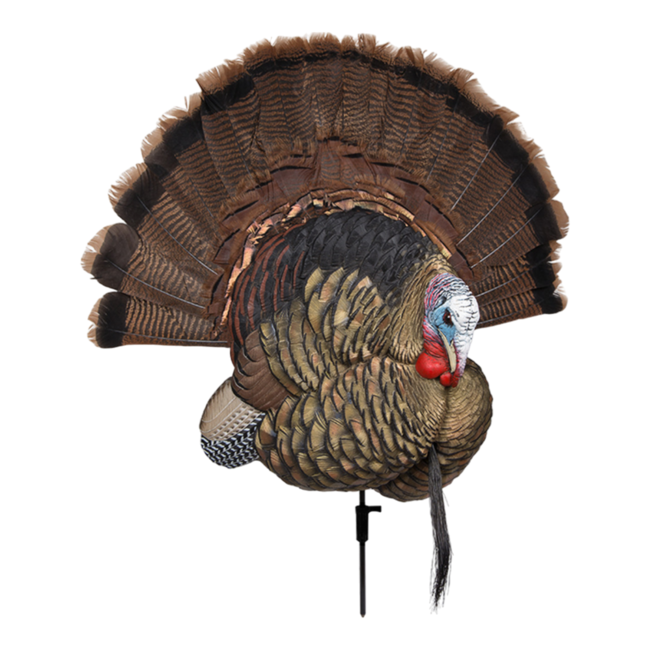 Appelant Avian-X Trophy Tom