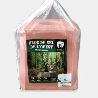 BUCK HUNTER Buck Hunter Western Apple Flavored Salt Block 20kg