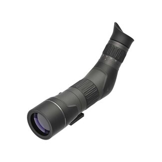 Leupold Leupold SX-2 Alpine HD Gen 2 20-60x60mm Angled Spotting Scope