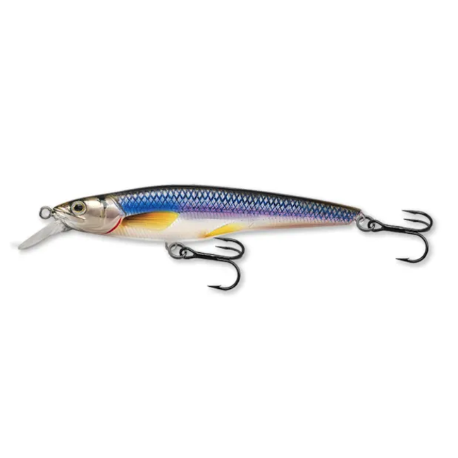 Live Target Rainbow Smelt Shallow 2-3/4''