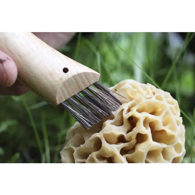 Opinel N08 Stainless Steel Mushroom Knife