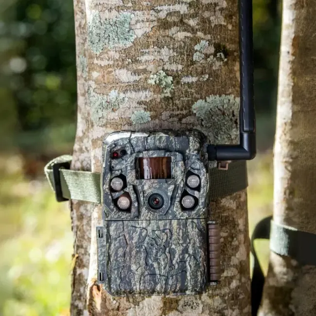 Browning Defender Vision Pro Cellular Trailcam
