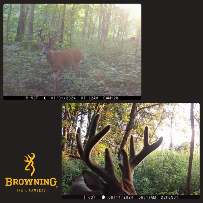 Browning Defender Vision Pro Cellular Trailcam