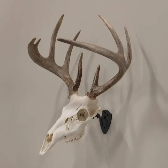Allen EZ Mount Skull Hanger