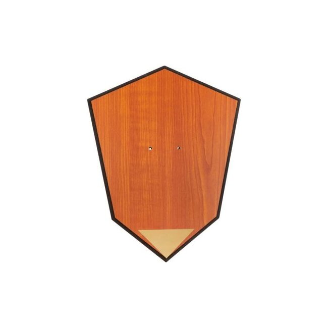 Allen Antler Mounting Kit