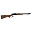 Carabine Savage Revel DLX Cal.22WMR 18'' Bois