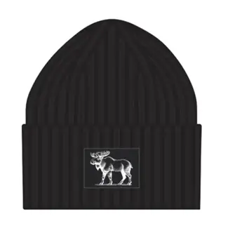 PRONATURE Tuque Pronature avec Rabat Noir
