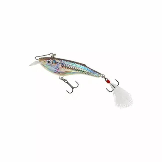Salmo Rail Shad 6  Sinking 6cm
