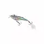 Salmo Rail Shad 6  Sinking 6cm