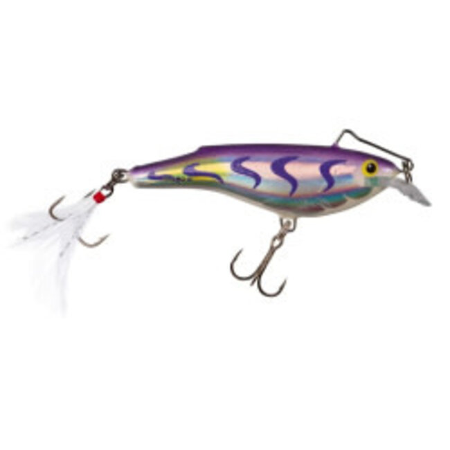 Salmo Rail Shad 6  Sinking 6cm